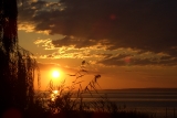 Balaton in der Abendsonne