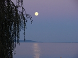 Balaton im Abendlicht