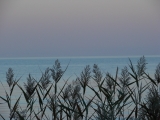 Foto: Dämmerung am Plattensee / Balaton