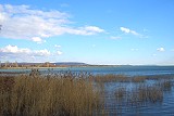 Foto des Balaton / Plattensee's