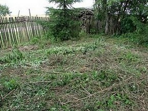 &Uuml;berall liegt Gras und Holz herum