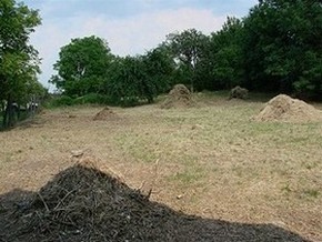 Mittlerweile sind schon 20 kb Unterholz abtransportiert