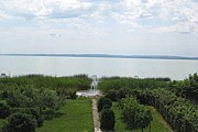 Blick auf den Plattensee / Balaton